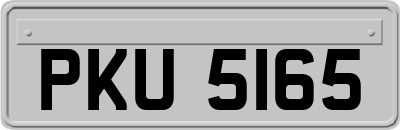 PKU5165