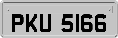 PKU5166