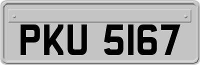 PKU5167