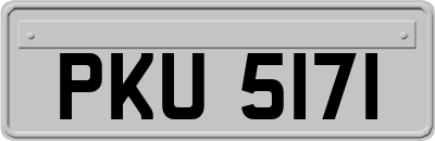 PKU5171