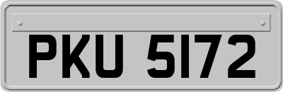 PKU5172