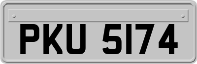 PKU5174