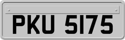 PKU5175