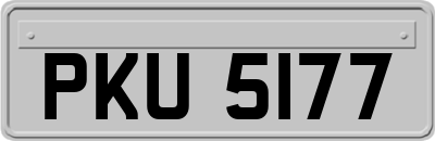 PKU5177