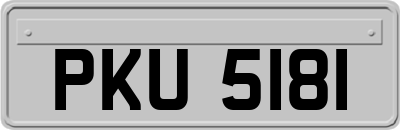 PKU5181
