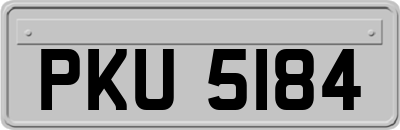 PKU5184