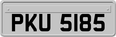 PKU5185