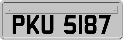 PKU5187
