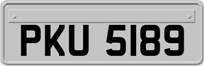 PKU5189