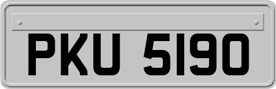 PKU5190