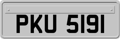 PKU5191