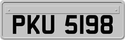 PKU5198