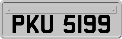 PKU5199