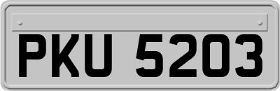 PKU5203