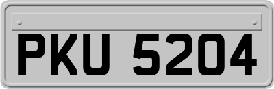 PKU5204