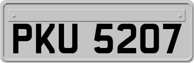 PKU5207