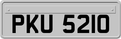 PKU5210