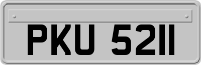 PKU5211