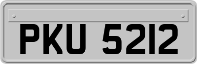PKU5212
