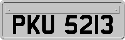 PKU5213