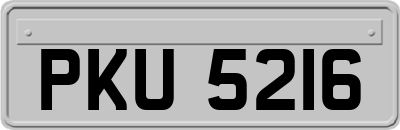 PKU5216