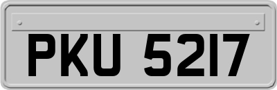 PKU5217