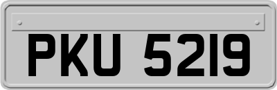 PKU5219