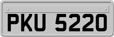 PKU5220