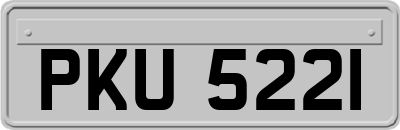PKU5221