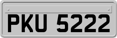 PKU5222