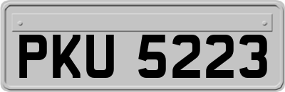 PKU5223