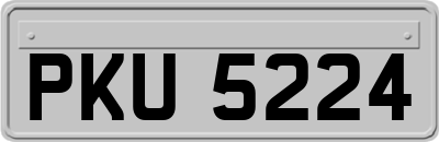 PKU5224