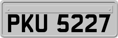 PKU5227