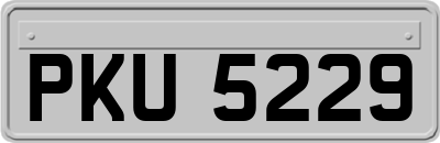 PKU5229