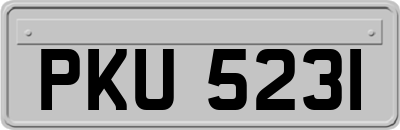 PKU5231