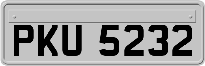 PKU5232