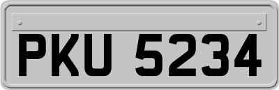PKU5234