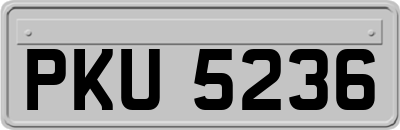 PKU5236
