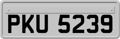 PKU5239