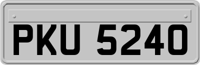 PKU5240