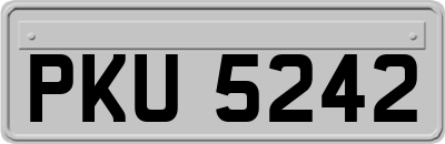 PKU5242