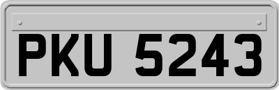 PKU5243