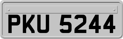 PKU5244