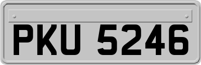 PKU5246