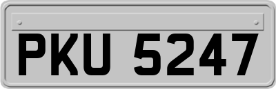 PKU5247