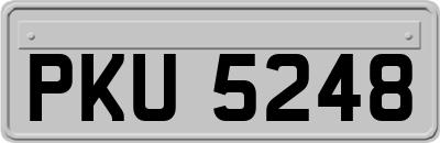 PKU5248