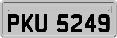 PKU5249