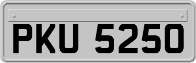 PKU5250