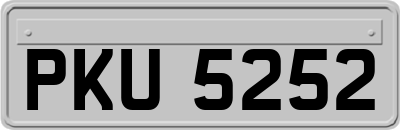 PKU5252