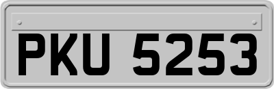 PKU5253